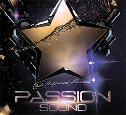 酷黑风格的派对海报/传单模板：Passion Sounds Party Flyer Template